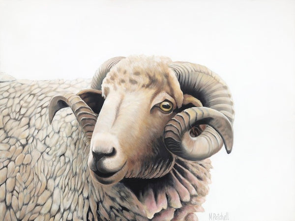 NZ sheep painting acrylic on canvas, sheep portrait 