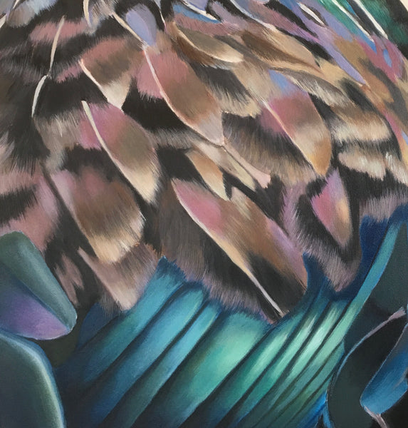 feather detail, New Zealand  native Tui