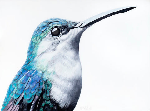 hummingbird art print , detailed portrait