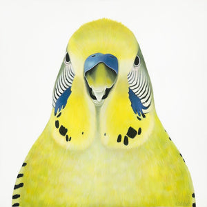 budgie portrait painting  yellow budgie  larger than life painting , quirky birds
