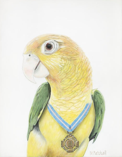 Parrot art print , yellow bird , bird with medal around its neck