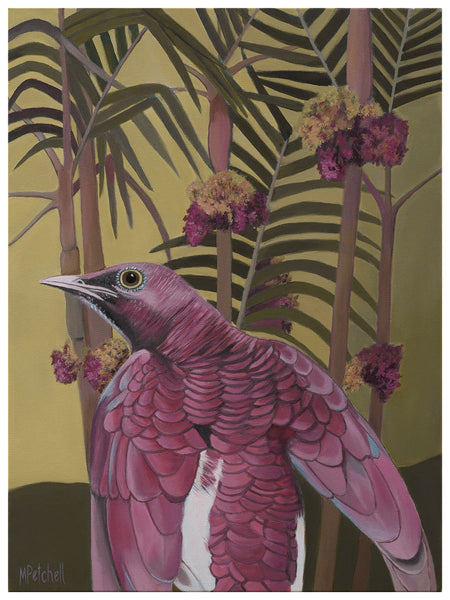 Juniper Pink Parrot Art Print