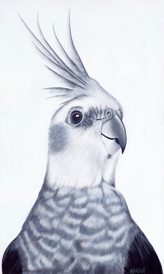 cockatiel art print, parrot portrait in black and white , new zealand bird artist