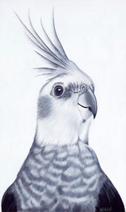 cockatiel art print, parrot portrait in black and white , new zealand bird artist