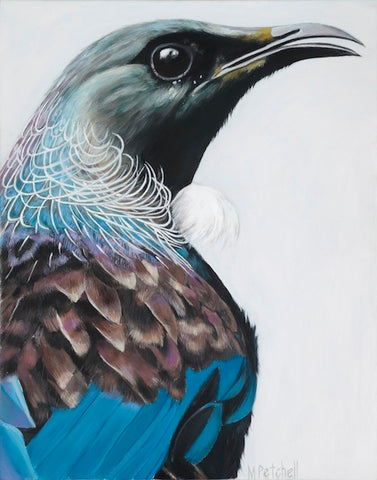 New Zealand Tui art print, native birds of NZ