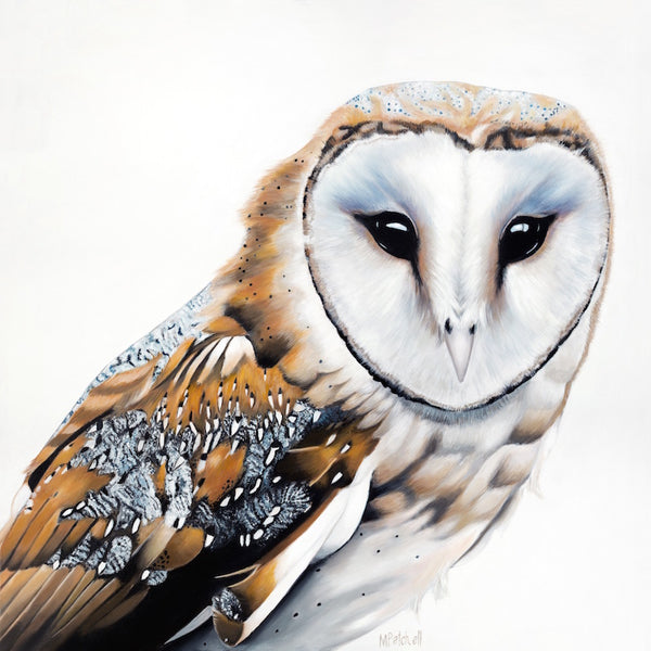 owl art print, bird portrait, 