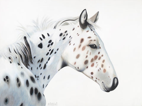 Appaloosa, black and white spotted horse fine art print  