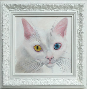 original painted portrait  of a white cat with different eye colours