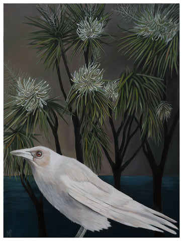 "Keith" White Magpie by Cabbage Trees