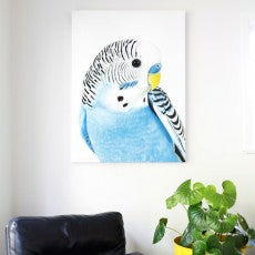 large budgie art print on the wall, dramatic bird portrait